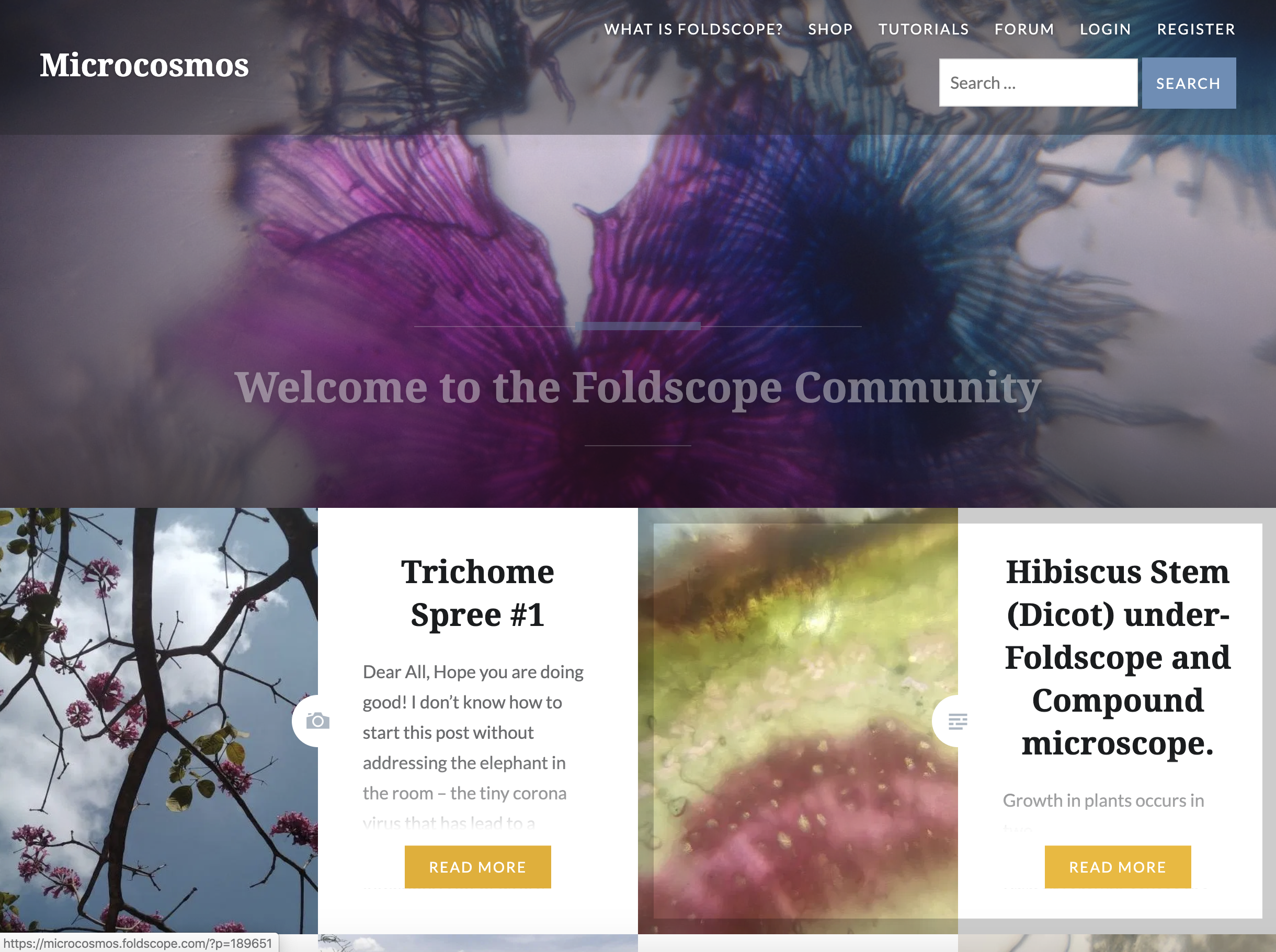 Front page of the microcosmos website.